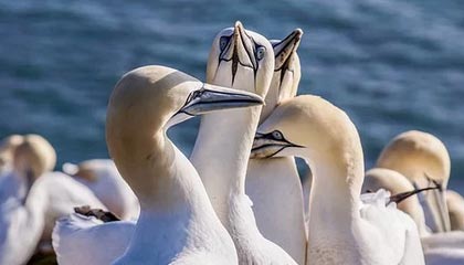 弥勒2026年最新杭州高端商务伴游招聘网渠道分享(最方便真实的弥勒茉莉伴游伴游天下全国联盟方法)