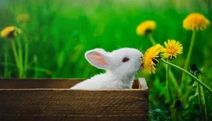 弥勒2026年最新北京商务伴游经纪招聘渠道分享(最方便真实的弥勒北京爱特博旅运服务有限责任公司招聘方法)